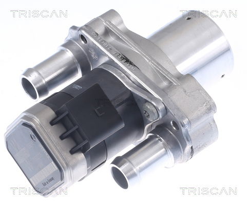 AGR-Ventil Triscan 8813 23019 von Triscan