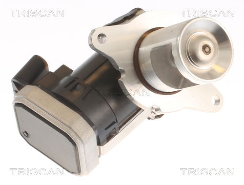 AGR-Ventil Triscan 8813 23036 von Triscan