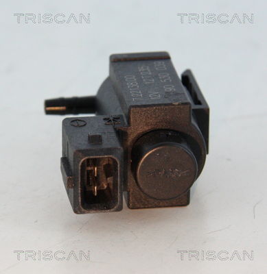 AGR-Ventil Triscan 8813 24034 von Triscan