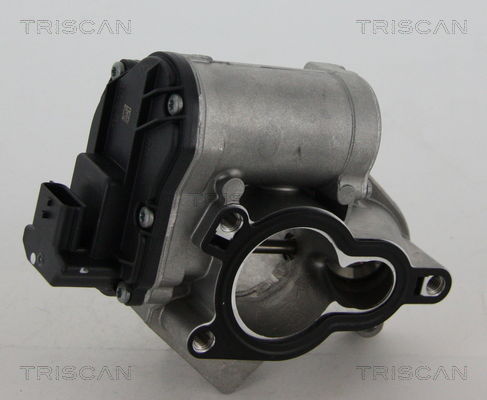 AGR-Ventil Triscan 8813 24039 von Triscan