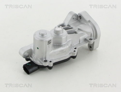 AGR-Ventil Triscan 8813 24040 von Triscan