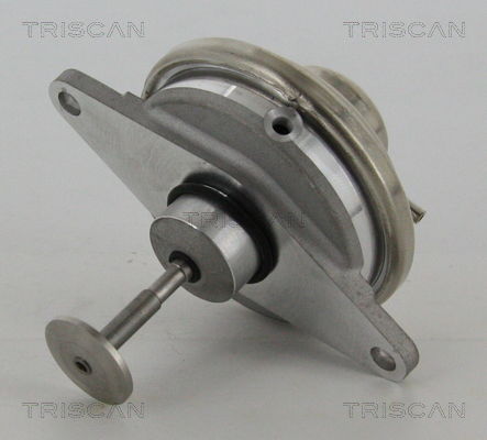 AGR-Ventil Triscan 8813 24054 von Triscan