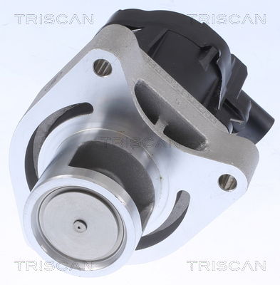 AGR-Ventil Triscan 8813 24084 von Triscan