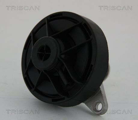 AGR-Ventil Triscan 8813 24202 von Triscan