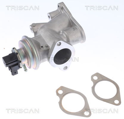 AGR-Ventil Triscan 8813 24203 von Triscan