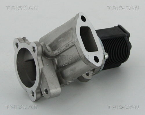 AGR-Ventil Triscan 8813 24204 von Triscan