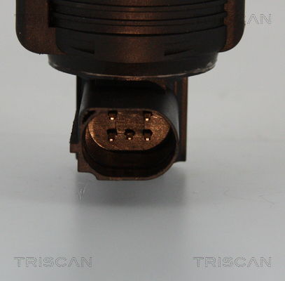 AGR-Ventil Triscan 8813 25005 von Triscan