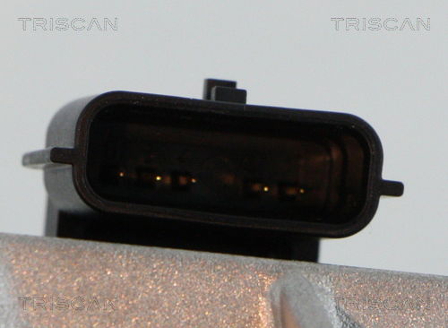 AGR-Ventil Triscan 8813 25042 von Triscan