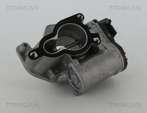 AGR-Ventil Triscan 8813 25203 von Triscan