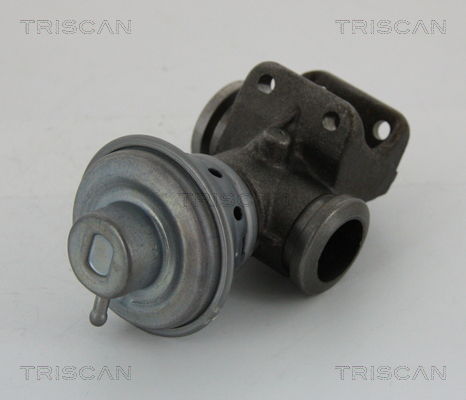 AGR-Ventil Triscan 8813 28013 von Triscan