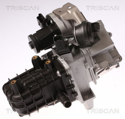 AGR-Ventil Triscan 8813 28046 von Triscan