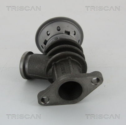 AGR-Ventil Triscan 8813 28100 von Triscan