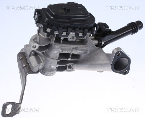 AGR-Ventil Triscan 8813 28103 von Triscan