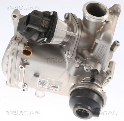 AGR-Ventil Triscan 8813 29013 von Triscan