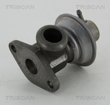 AGR-Ventil Triscan 8813 29024 von Triscan