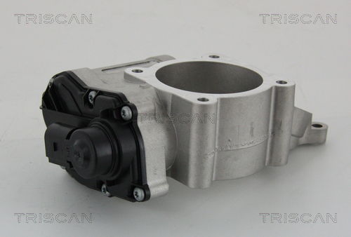 AGR-Ventil Triscan 8813 29028 von Triscan