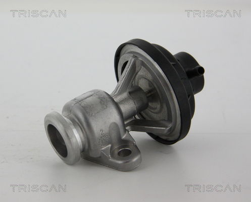 AGR-Ventil Triscan 8813 29034 von Triscan