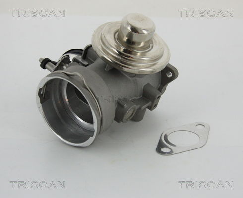 AGR-Ventil Triscan 8813 29040 von Triscan