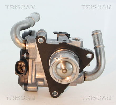 AGR-Ventil Triscan 8813 29069 von Triscan