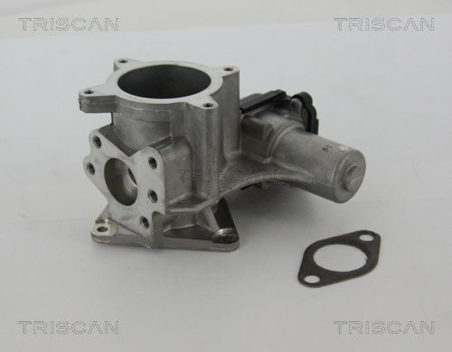 AGR-Ventil Triscan 8813 29105 von Triscan