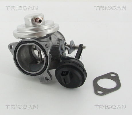 AGR-Ventil Triscan 8813 29201 von Triscan