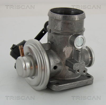 AGR-Ventil Triscan 8813 29300 von Triscan