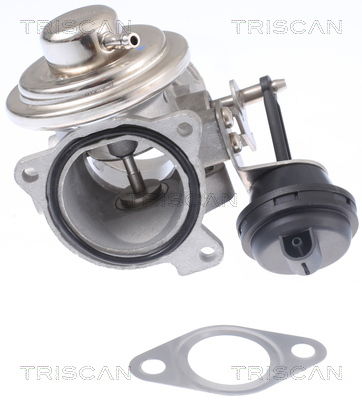 AGR-Ventil Triscan 8813 29308 von Triscan