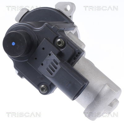 AGR-Ventil Triscan 8813 29310 von Triscan