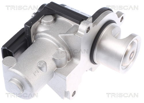 AGR-Ventil Triscan 8813 29338 von Triscan