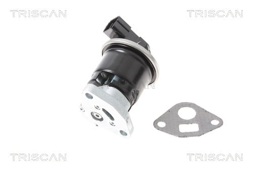 AGR-Ventil Triscan 8813 40013 von Triscan