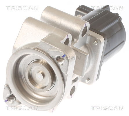 AGR-Ventil Triscan 8813 42001 von Triscan