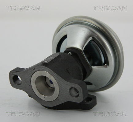 AGR-Ventil Triscan 8813 43003 von Triscan