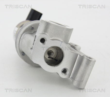 AGR-Ventil Triscan 8813 43021 von Triscan