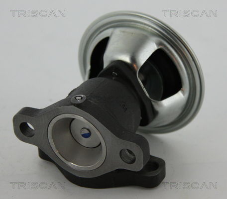 AGR-Ventil Triscan 8813 43022 von Triscan