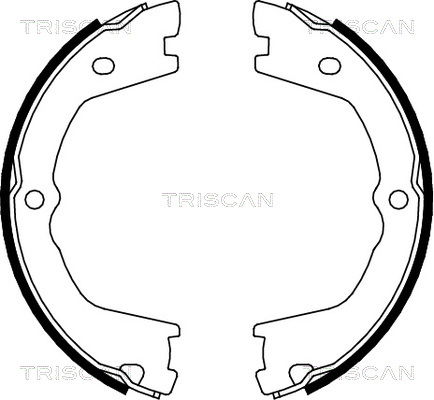 Bremsbackensatz, Feststellbremse Hinterachse Triscan 8100 15019 von Triscan