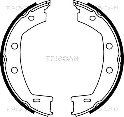 Bremsbackensatz, Feststellbremse Hinterachse Triscan 8100 17013 von Triscan