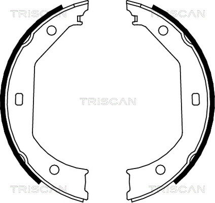 Bremsbackensatz Hinterachse Triscan 8100 11638 von Triscan