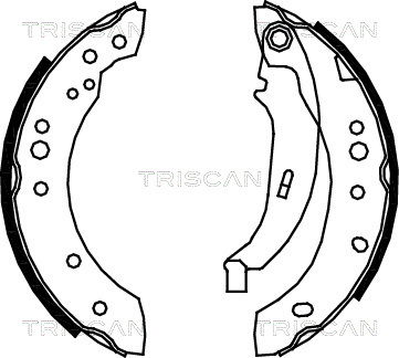 Bremsbackensatz Hinterachse Triscan 8100 25005 von Triscan