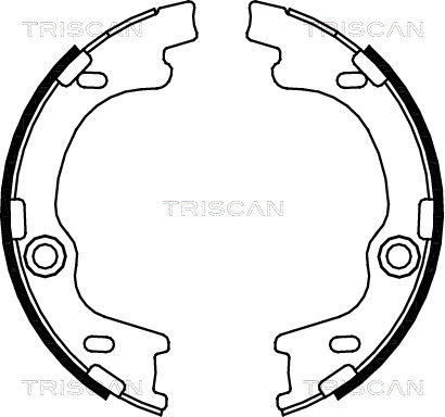 Bremsbackensatz Hinterachse Triscan 8100 43021 von Triscan