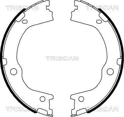 Bremsbackensatz Hinterachse Triscan 8100 43027 von Triscan