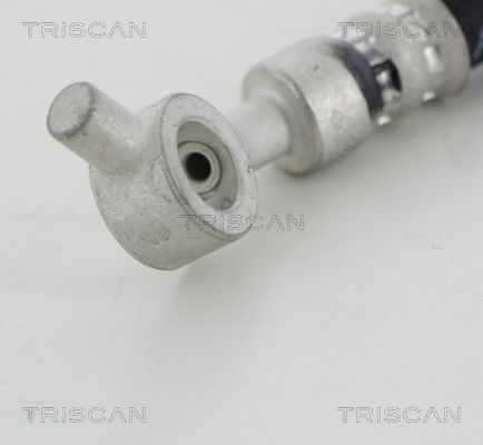 Bremsschlauch Triscan 8150 14321 von Triscan