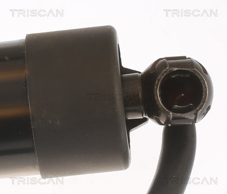 Gasfeder, Koffer-/Laderaum Triscan 8710 11313 von Triscan