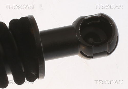 Gasfeder, Koffer-/Laderaum Triscan 8710 11353 Gasfeder, Koffer-/Laderaum Triscan 8710 11353 von Triscan