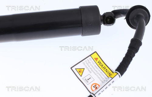 Gasfeder, Koffer-/Laderaum Triscan 8710 17301 von Triscan