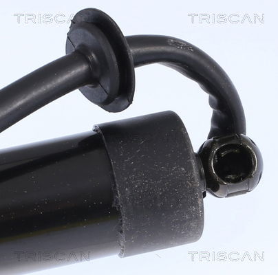 Gasfeder, Koffer-/Laderaum Triscan 8710 17303 von Triscan