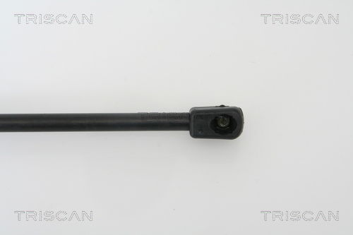 Gasfeder, Koffer-/Laderaum Triscan 8710 23210 Gasfeder, Koffer-/Laderaum Triscan 8710 23210 von Triscan