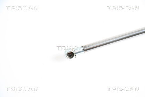 Gasfeder, Koffer-/Laderaum Triscan 8710 25227 Gasfeder, Koffer-/Laderaum Triscan 8710 25227 von Triscan