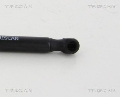 Gasfeder, Koffer-/Laderaum Triscan 8710 292028 Gasfeder, Koffer-/Laderaum Triscan 8710 292028 von Triscan