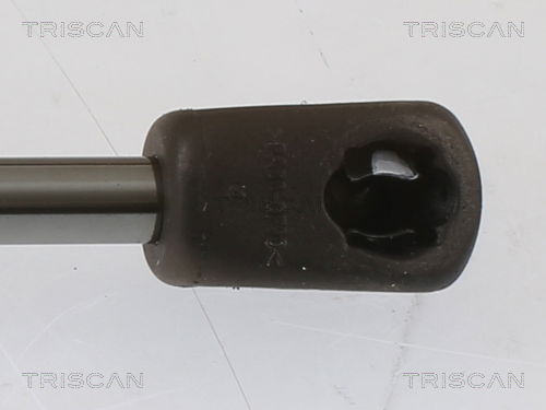 Gasfeder, Koffer-/Laderaum Triscan 8710 69228 von Triscan