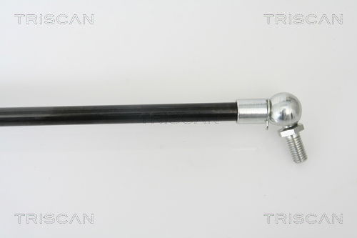 Gasfeder, Koffer-/Laderaum links Triscan 8710 42230 Gasfeder, Koffer-/Laderaum links Triscan 8710 42230 von Triscan